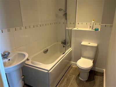 Picture 7